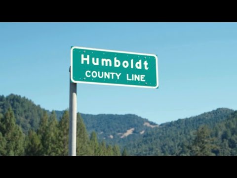 The 2022 Cali Phenotype Megahunt Recap w/ @HSCEurope