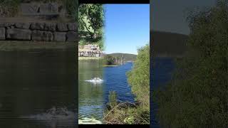 False Love of Long Ago instr #shorts #music #oldmusic #publicdomainmusic