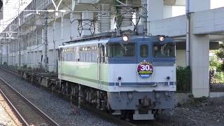【Japan Railway】ヘッドマーク付きEF65 2095牽引 配8593レ