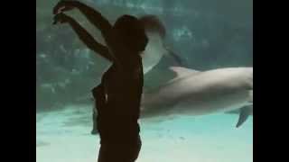 Dançando Com O Golfinho