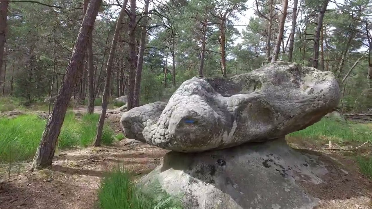 Randonnée en forêt de Fontainebleau – Rocher Cassepot et tour Denecourt
