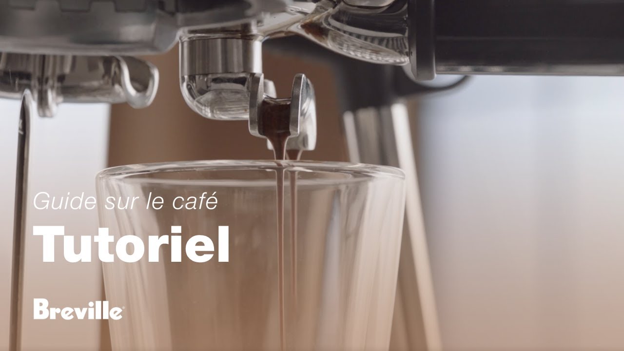 The Barista Express® Impress Le guide de la parfaite extraction d’un