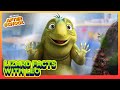 8 Things You Definitely Didn&#39;t Know About Lizards 🦎🤯 Leo | Netflix After School