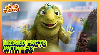 8 Things You Definitely Didn't Know About Lizards  Leo | Netflix After School