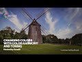 Luminar Coffee Break: Changing colors with Color Harmony and Toning