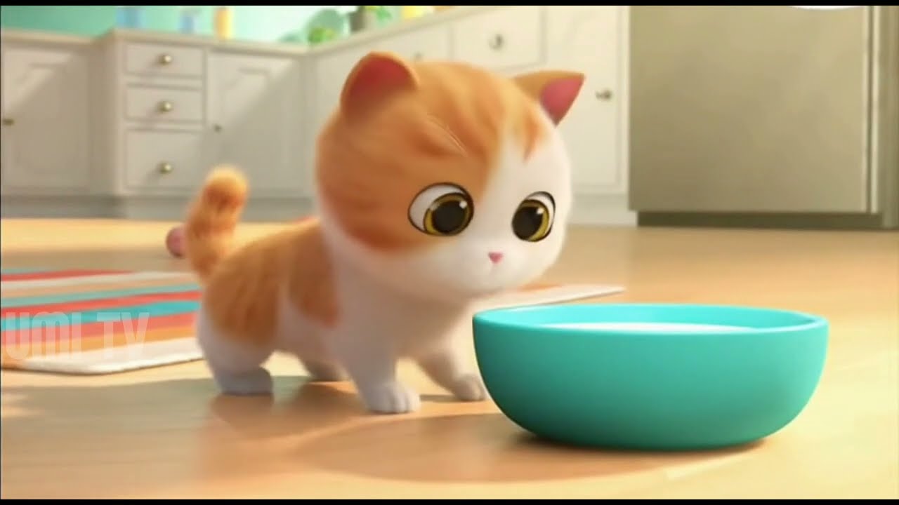 Meri pyari billi gol matol 🐱🐱मेरी प्यारी बील्ली song 🎶🎵