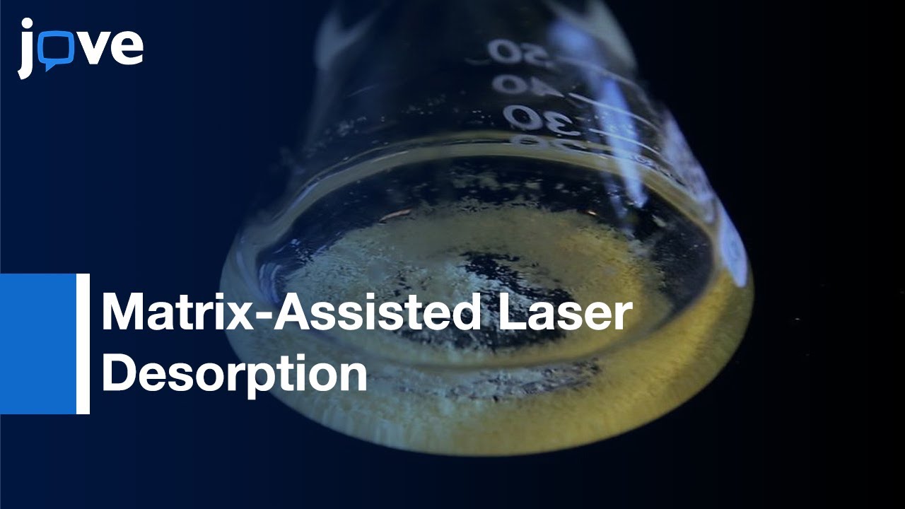 MALDI-TOF Mass Spectrometric Analysis-Intact Proteins Larger Than 100 kDa l Protocol Preview