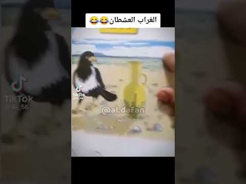 الغراب العطشان العراق تحشيش