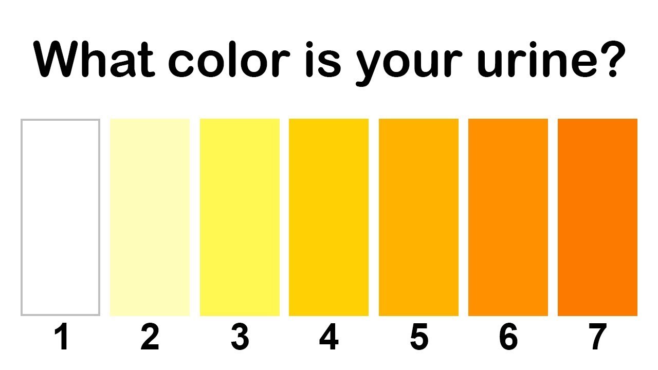 What The Color of Your Urine Says About Your Health - YouTube