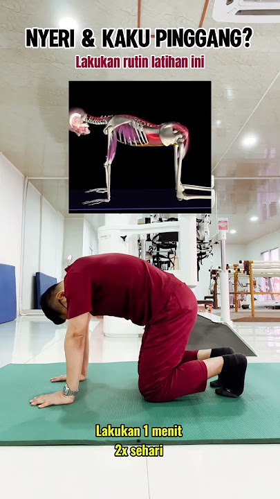 Nyeri dan kaku pinggang? lakukan latihan ini #drpras #nyeripinggang #lowbackpain