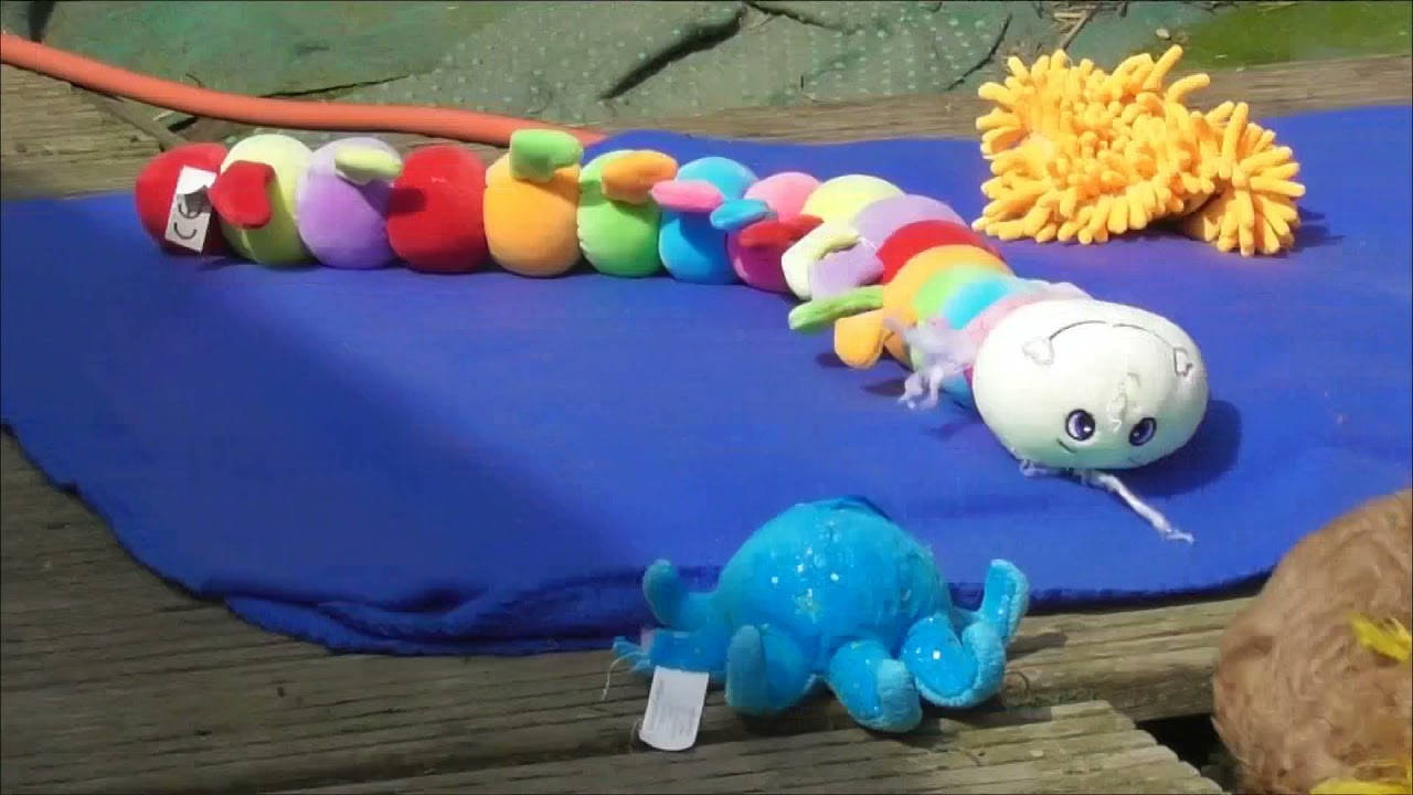 P - Kinder 4 Wochen alt 1