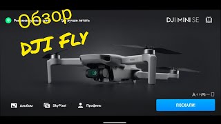 Обзор приложения DJI Fly для DJI Mini SE