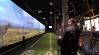 Wheelchair Races Cheetah at Perot Museum, Dallas - WheelchairTravel.org by Wheelchair Travel 1,453 views 7 years ago 30 seconds