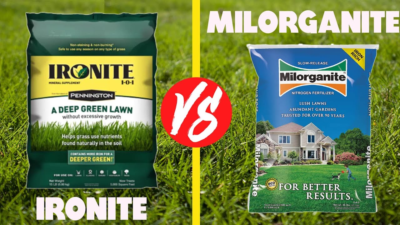 Ironite vs Exploring Their Similarities and Differences