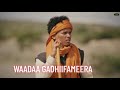 Wasanu Damisee Waadaa 