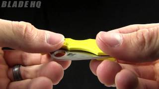 スパイダルコてんとう虫の概要