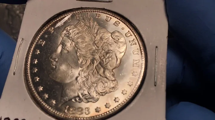 Will these Dollars make the grade? Morgan dollar pregrade PCGS NGC