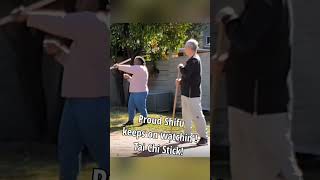 Proud Shifu Keeps On Watchin Tai Chi Stick