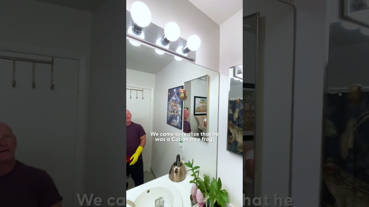 Couple Adopts Invasive Frog They Find In Their Sink | The Dodo