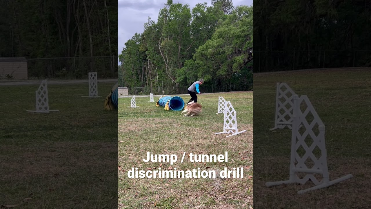 Agility training Discrimination