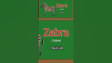 Ngựa vằn tiếng anh đọc là? #english #vocabulary #sorrt