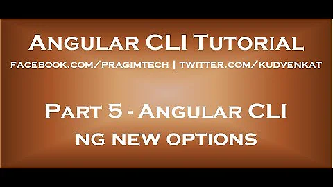 Angular CLI ng new options