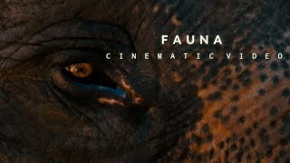 Cinematic Alam Hewan Fauna 3 Menit | Nature Cinematic Video | Backsound Sinematik No Copyright