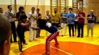 Mestre Chicote Professor Piolho