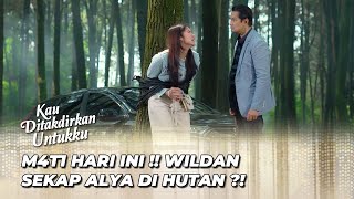 WILDAN CULIK ALYA KE HUTAN ‼️  | KAU DITAKDIRKAN UNTUKKU EPS 87