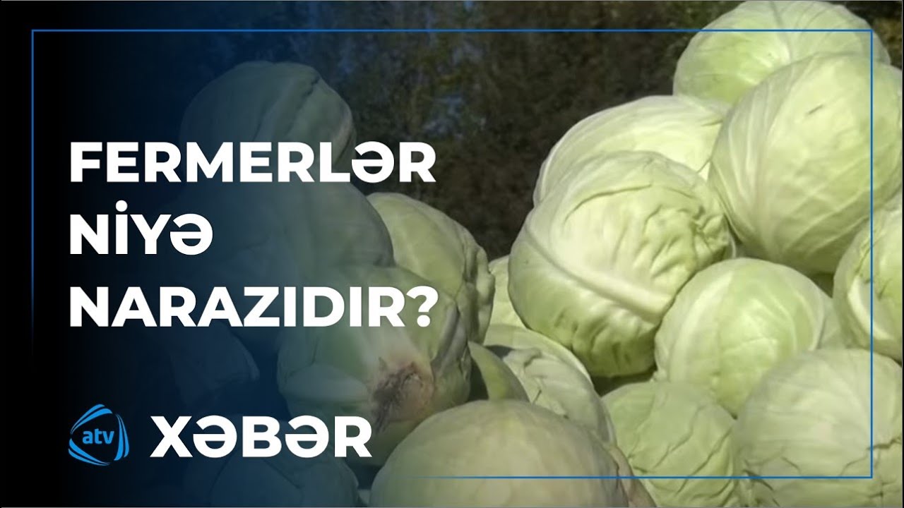 Kələmin qiyməti fermerləri qane etmir