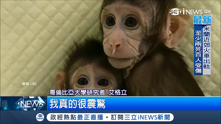 "桃莉羊"翻版 中國用"體細胞"成功複製獼猴 下一步進入"神的領域"?│記者 鍾宇皓│【國際大現場】20180125│三立新聞台 - 天天要聞