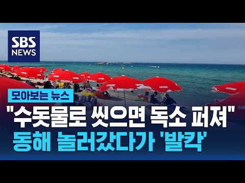&amp;quot;수돗물로 씻으면 터진다&amp;quot;… 동해 놀러갔다가 &amp;#39;발칵&amp;#39; / SBS / 모아보는 뉴스