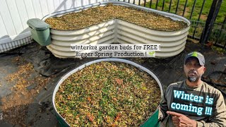 How to prepare raised beds for next season ! "Easy & Free" #garden #gardening #winter