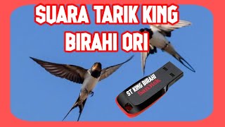 SUARA TARIK KING BIRAHI ASLI ORIGINAL