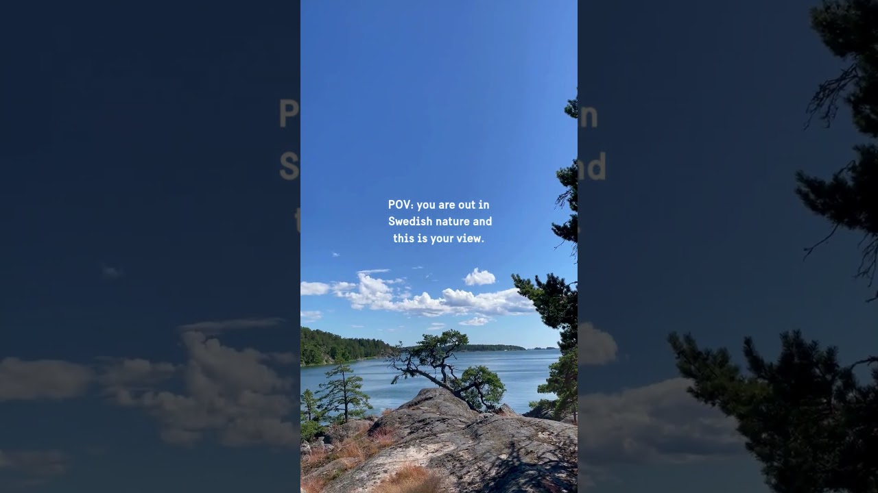 POV: you are out in Swedish nature and this is your view.🌳💙🍃 