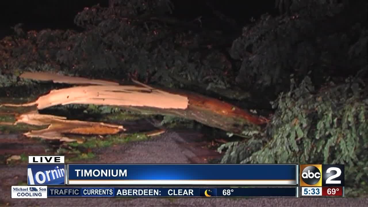 Teen dead after tree falls on car during storm - YouTube