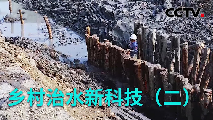美麗中國年·鄉村治水新科技（二）：工程師為什麼用「種」木樁的方式固堤呢？20230202 |《創新進行時》CCTV科教 - 天天要聞