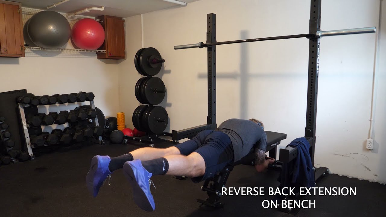 Reverse Back Extension on Bench - YouTube