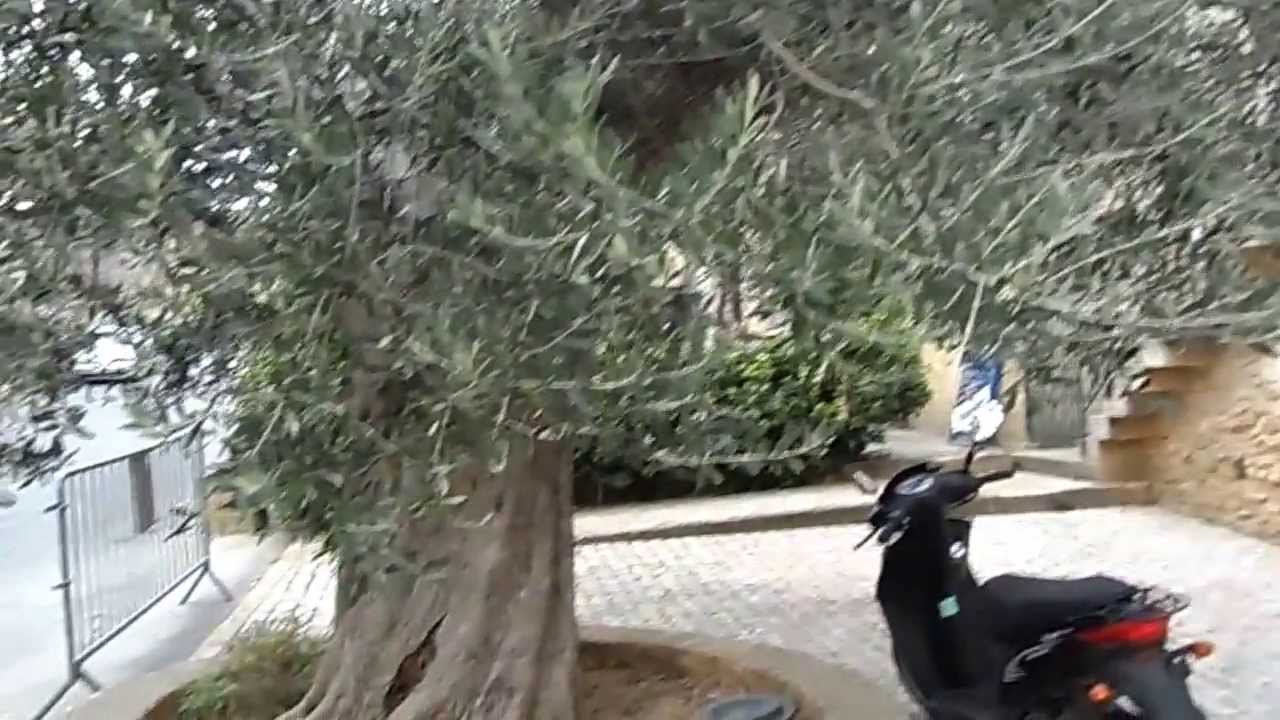 The square outside L' Amphytrion Castillon du Gard