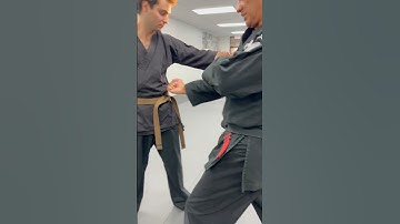 #snappingtwig methods of execution #kenpo #martialarts #edparkersr