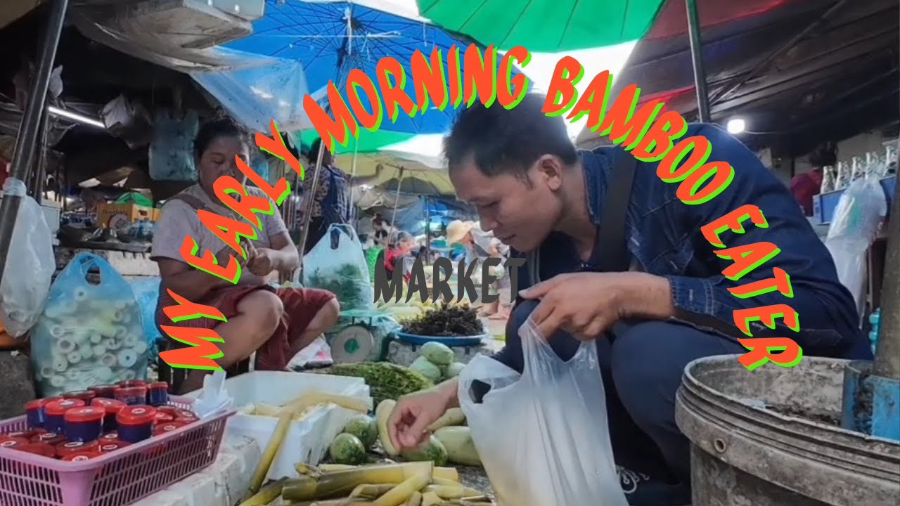 Life Alone In Laos 🇱🇦