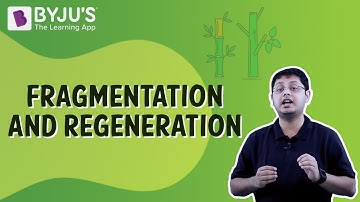 Fragmentation And Regeneration | Class 7 | Learn With BYJU