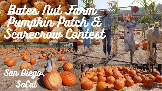 Best Pumpkin Patch in SoCal! | Bates Nut Farm Pumpkin Patch 2020 and The Scaresrow Contest |FallVlog