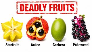 The World's Deadliest Fruits Explained