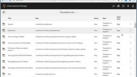 Alpha CRC AEM Connector - Checking the translation results