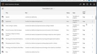 Alpha CRC AEM Connector - Checking the translation results
