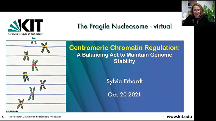 Sylvia Erhardt: "Centromeric Chromatin Regulation:...