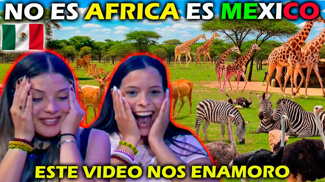 México Tiene ESTE Safari con ANIMALES INCREIBLES - CUBANAS REACCIONAN