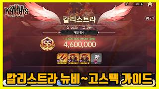 [세븐나이츠 리버스] 돌발레이드 칼리스트라 가이드: 스킬순서, 조합, 세팅 / 뉴비빌드 및 고스펙 빌드