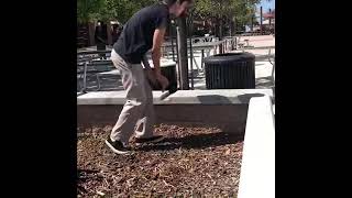 amendment skit project